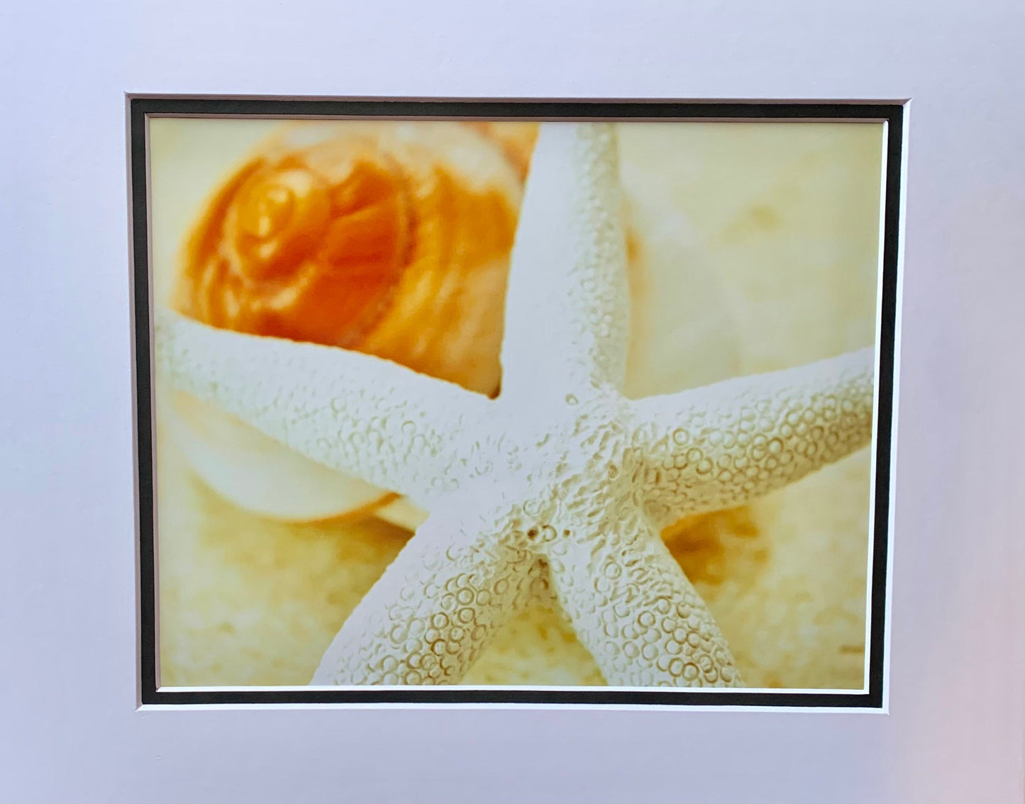 Starfish Dreams Photography Ocean Shore Beach life Ocean lover Gift Original Soothing Seascape Decor Waves Beach shell Coastal art fish sand
