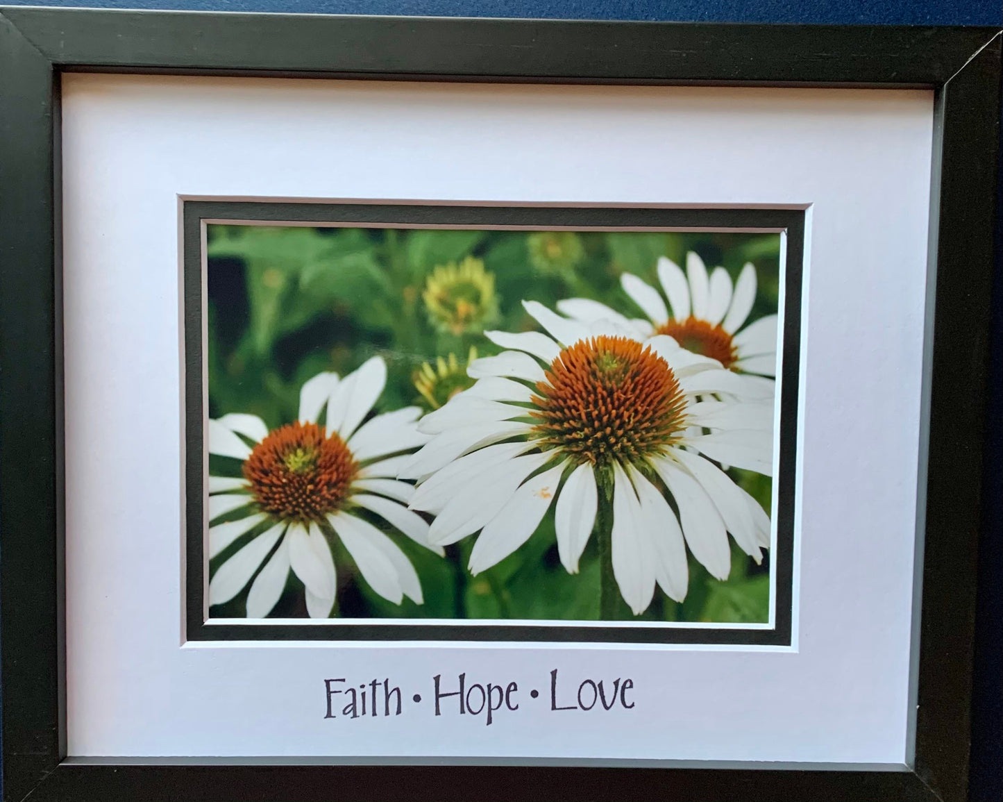 White Coneflowers photography