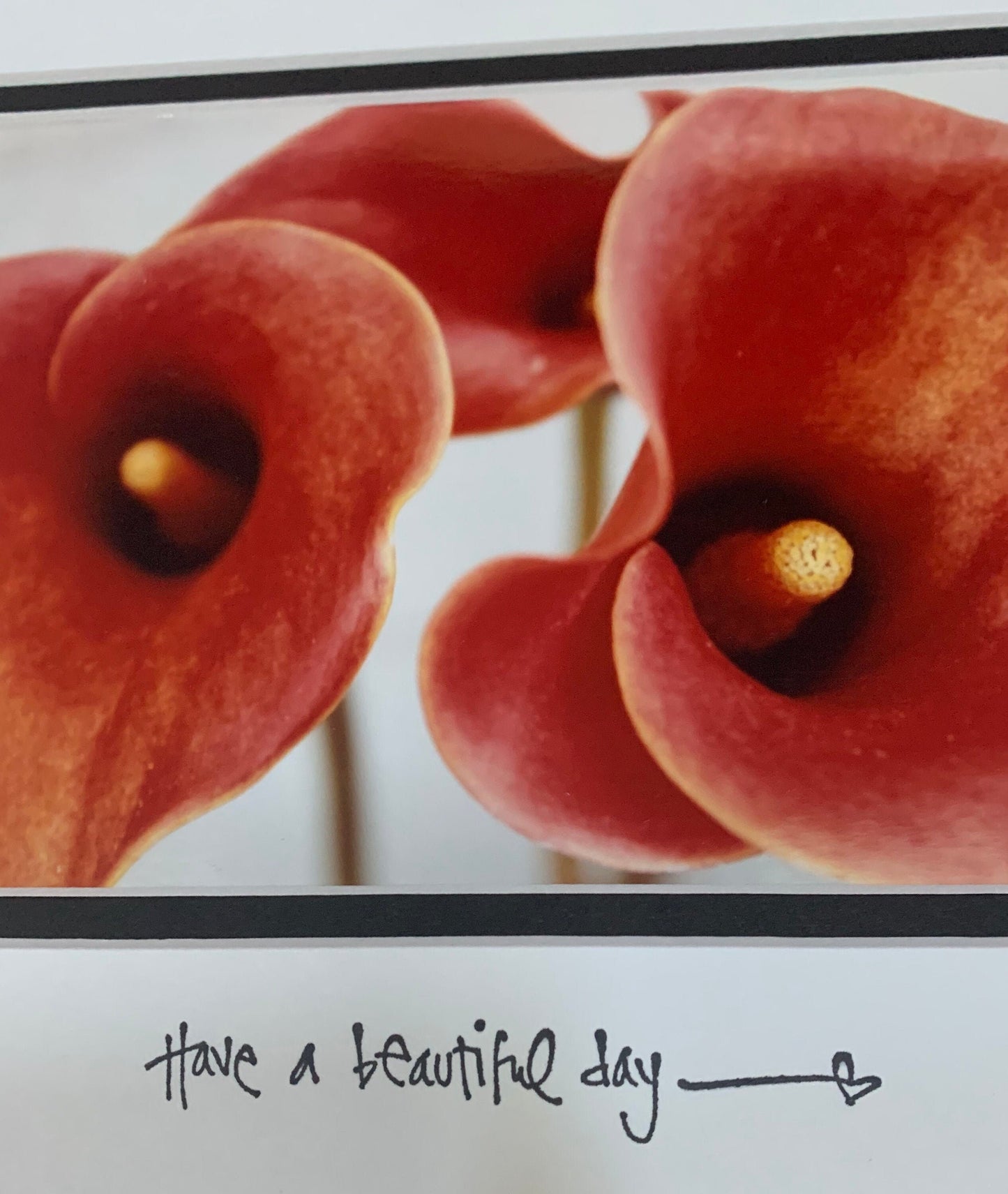 3 Calla Lily Inspirational Matted Photo Original Flower Photography Colorful botanical decor Garden Nature accent flower lover gift