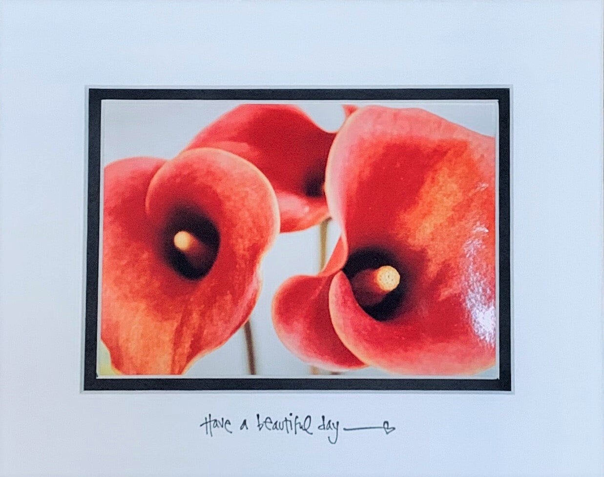 3 Calla Lily Inspirational Matted Photo Original Flower Photography Colorful botanical decor Garden Nature accent flower lover gift