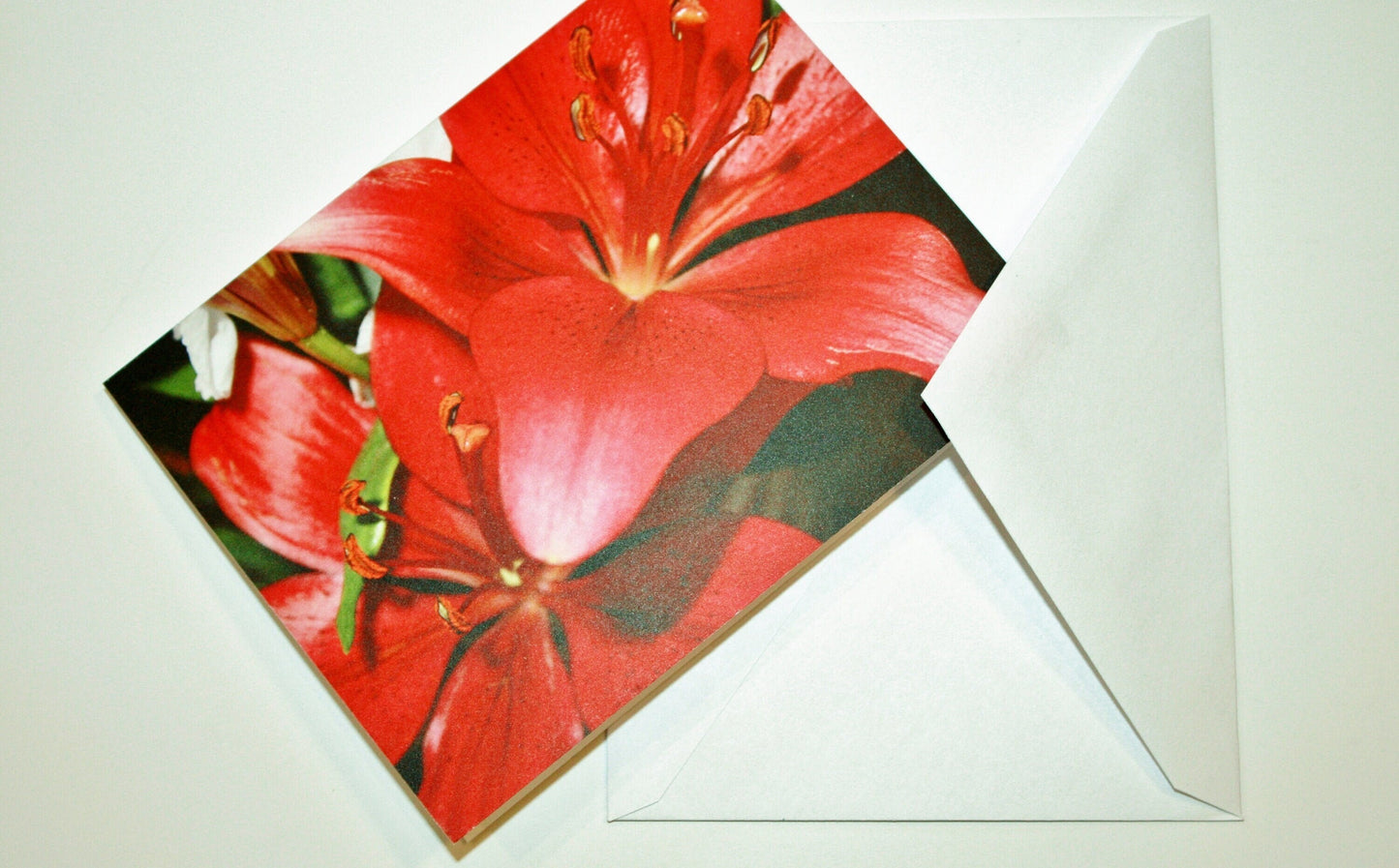 Blank Note Cards & Envelopes Original Photographs Many designs available Flower lovers personal gift unique photo card