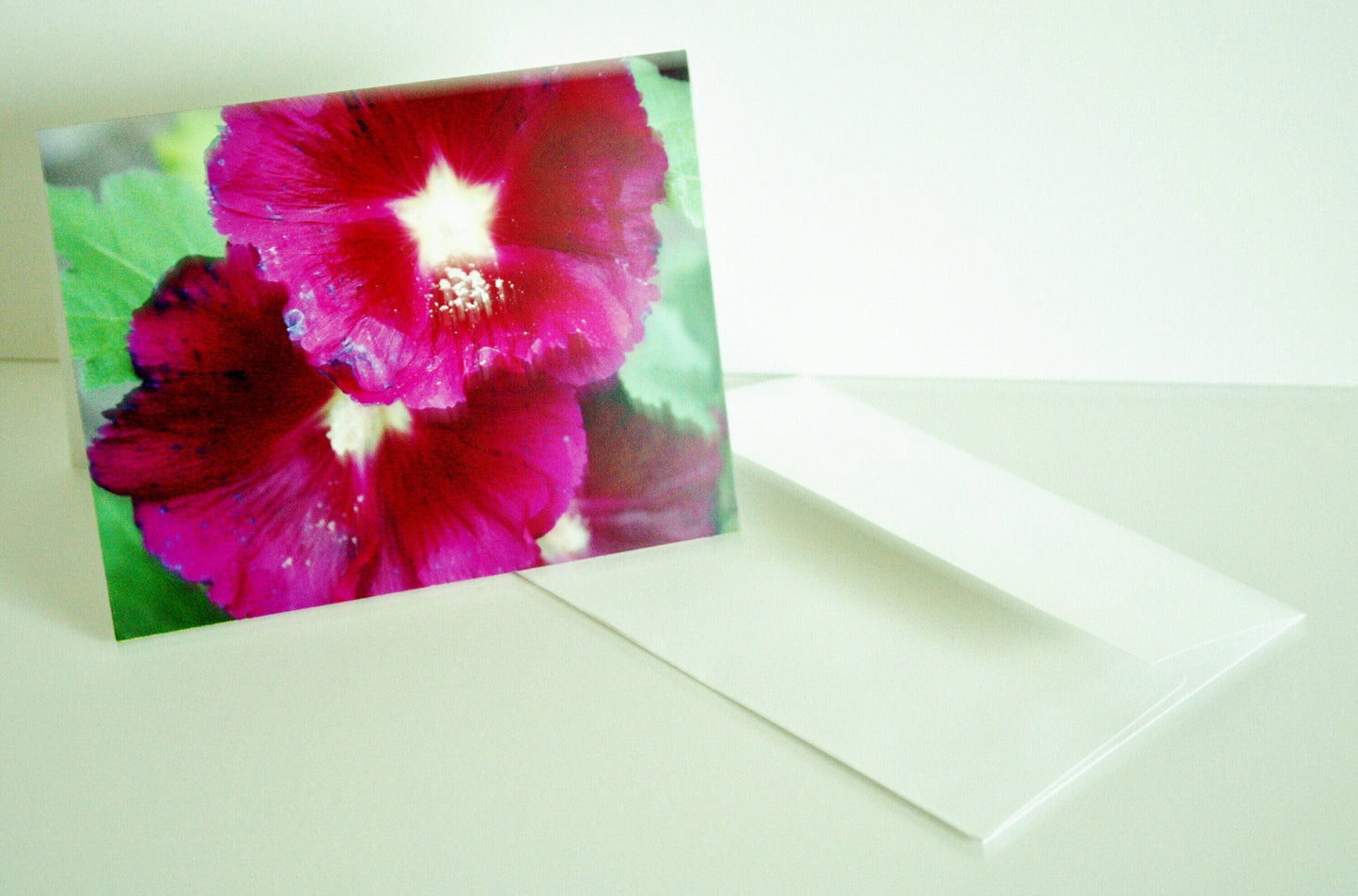 Blank Note Cards & Envelopes Original Photographs Many designs available Flower lovers personal gift unique photo card