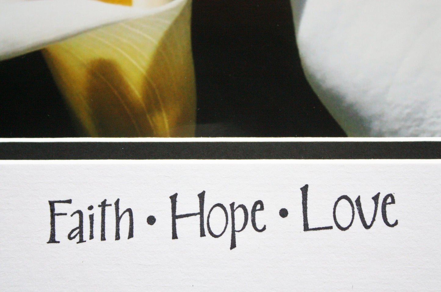 White Calla Lily Photograph