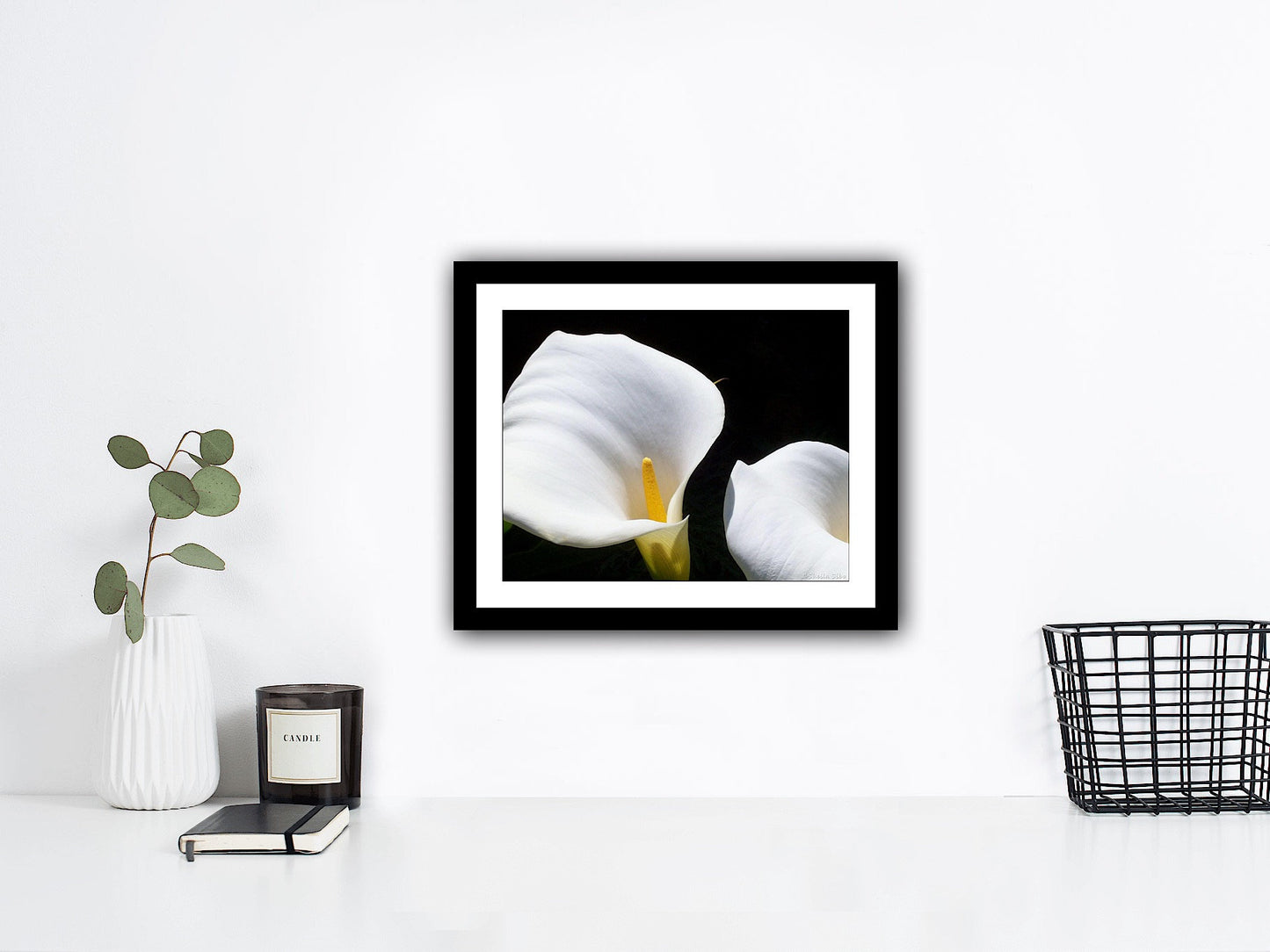 White Calla Lily Photograph