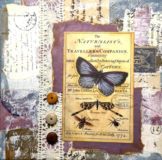 Butterfly Blues 6" chunky square canvas