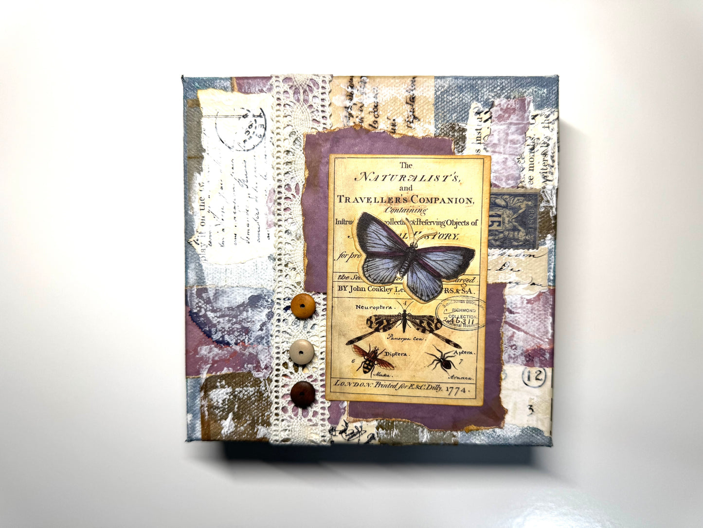 Butterfly Blues 6" chunky square canvas