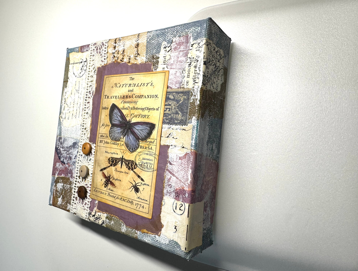 Butterfly Blues 6" chunky square canvas