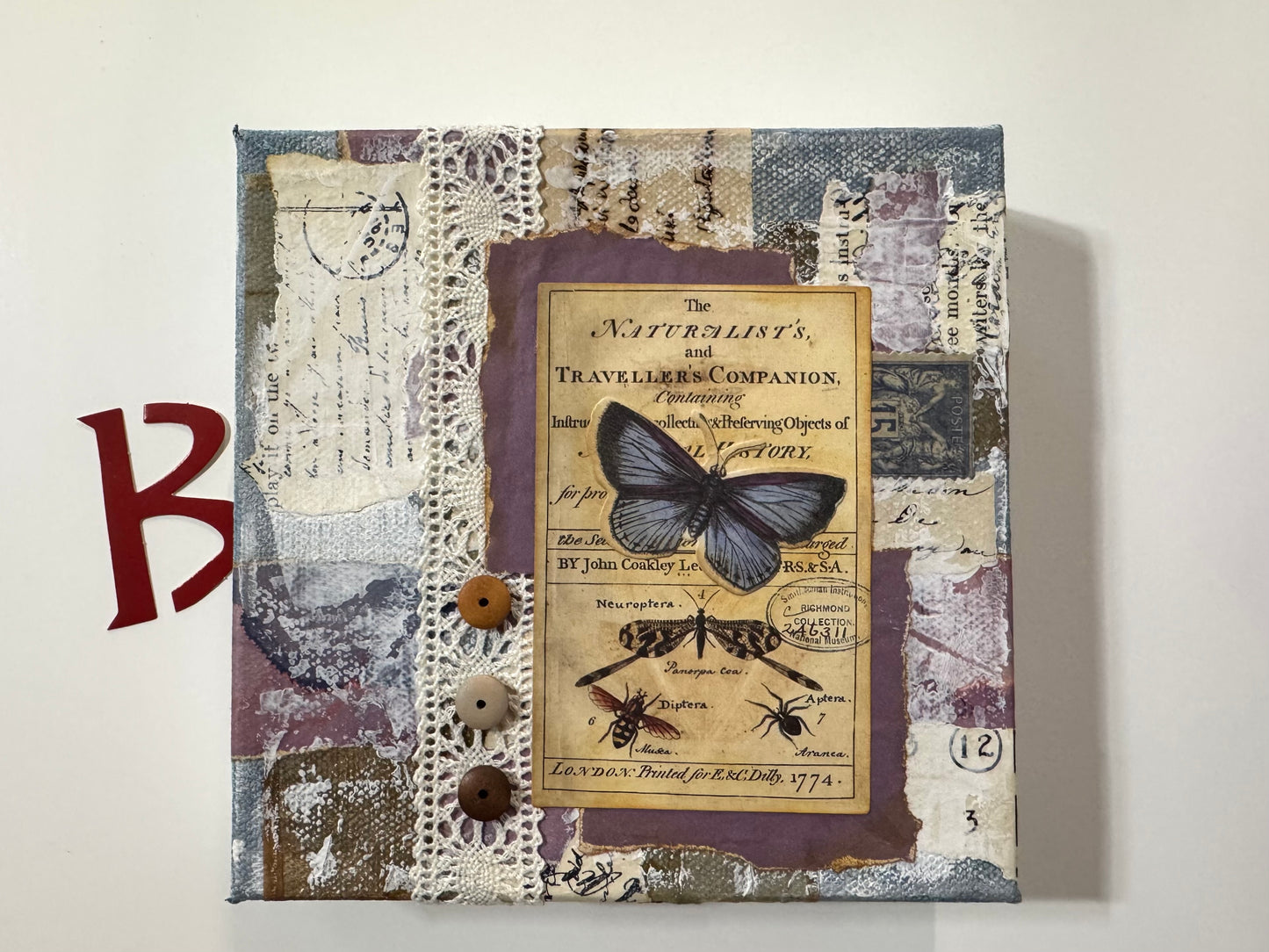 Butterfly Blues 6" chunky square canvas
