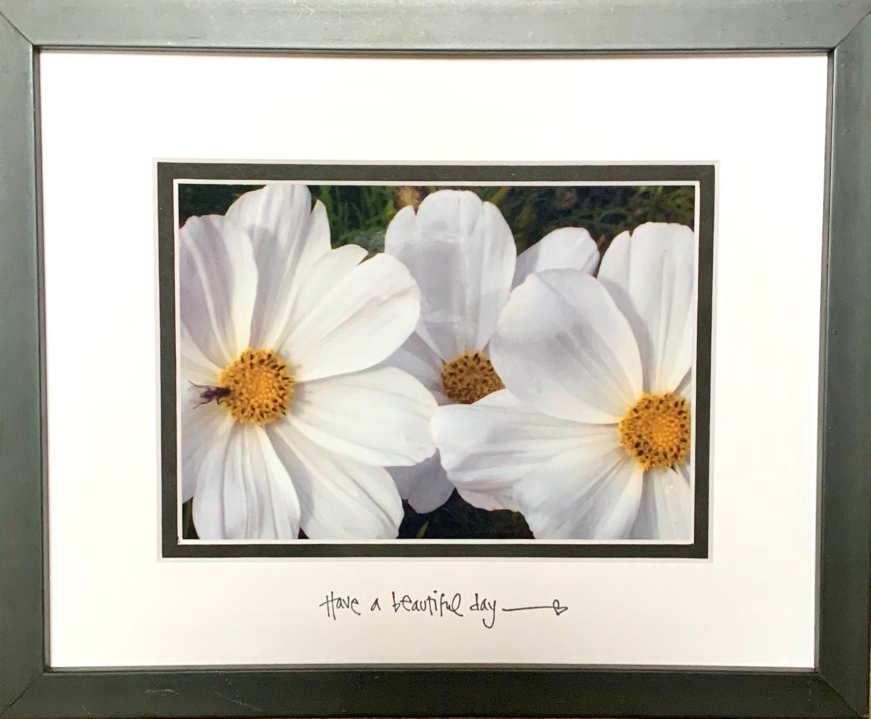 White Daisies Inspirational Quote Matted Photo Original Flower Photography Colorful decor Garden Nature accent flower lover gift