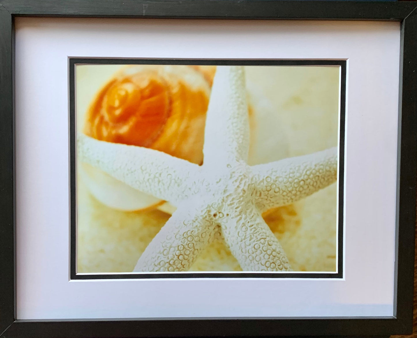 Starfish Dreams Photography Ocean Shore Beach life Ocean lover Gift Original Soothing Seascape Decor Waves Beach shell Coastal art fish sand