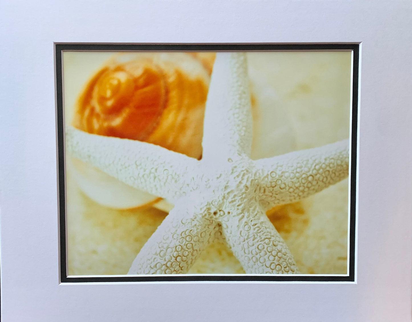 Starfish Dreams Photography Ocean Shore Beach life Ocean lover Gift Original Soothing Seascape Decor Waves Beach shell Coastal art fish sand