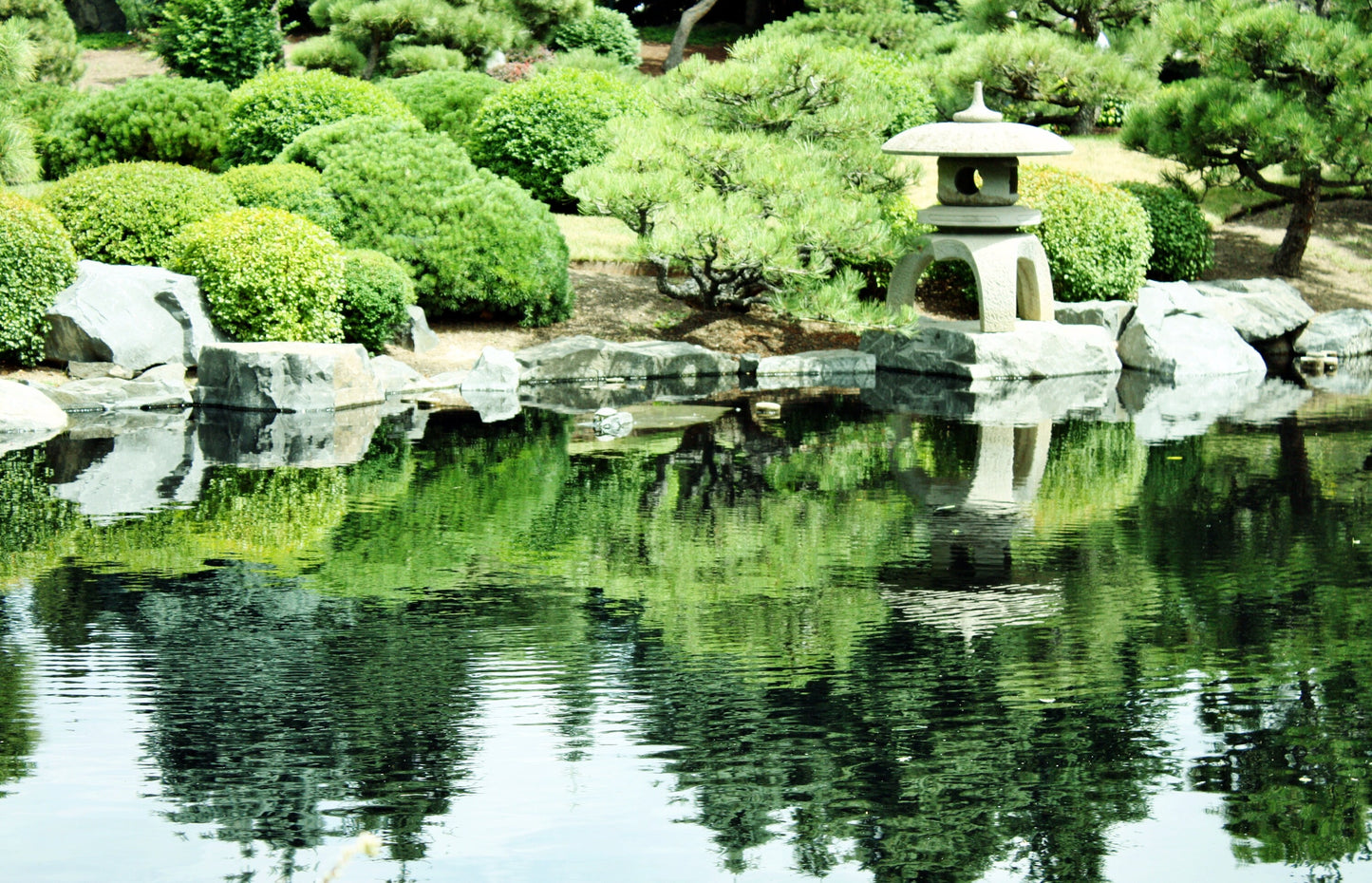 Japanese Water Garden Photo