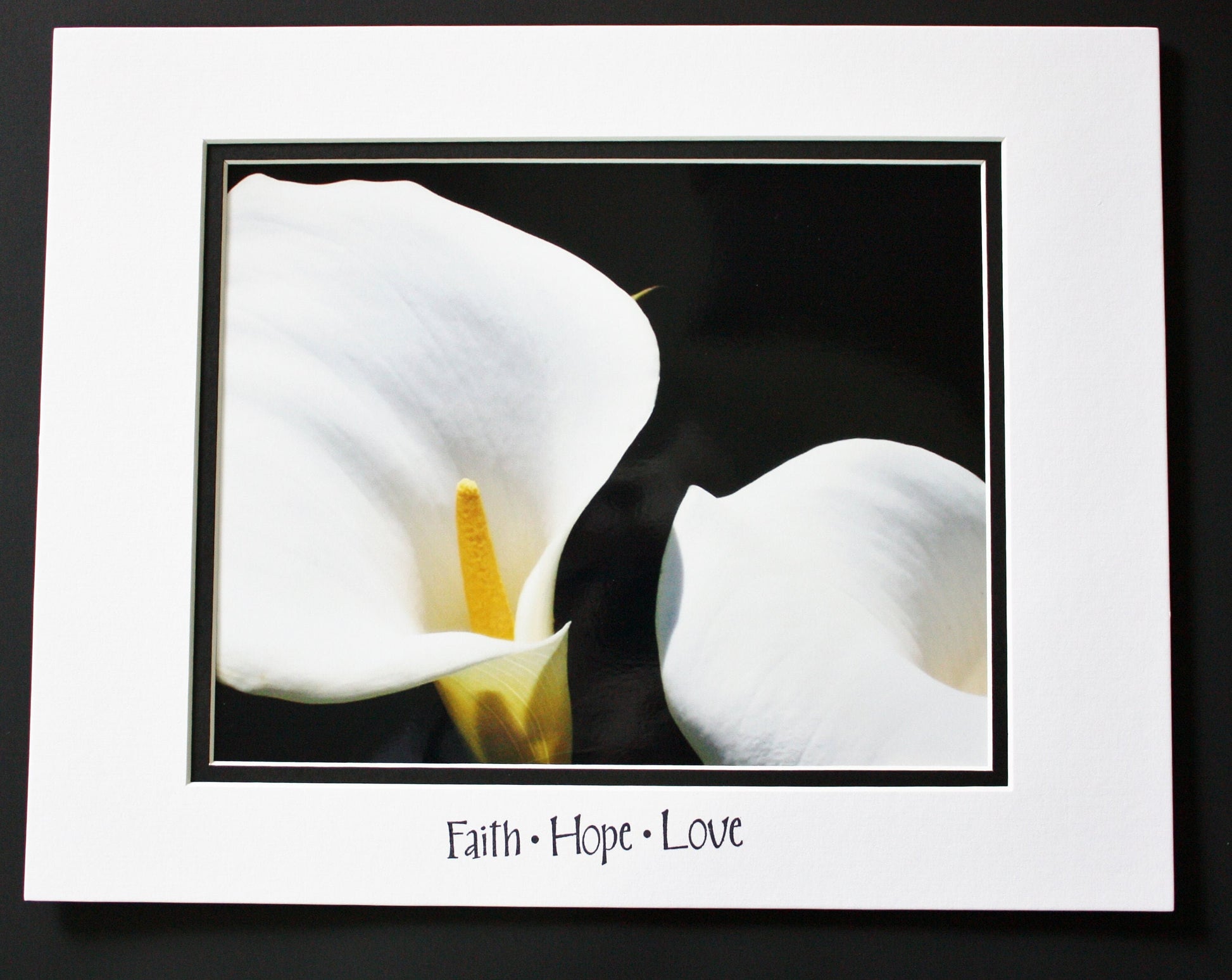 White Calla Lily Photograph