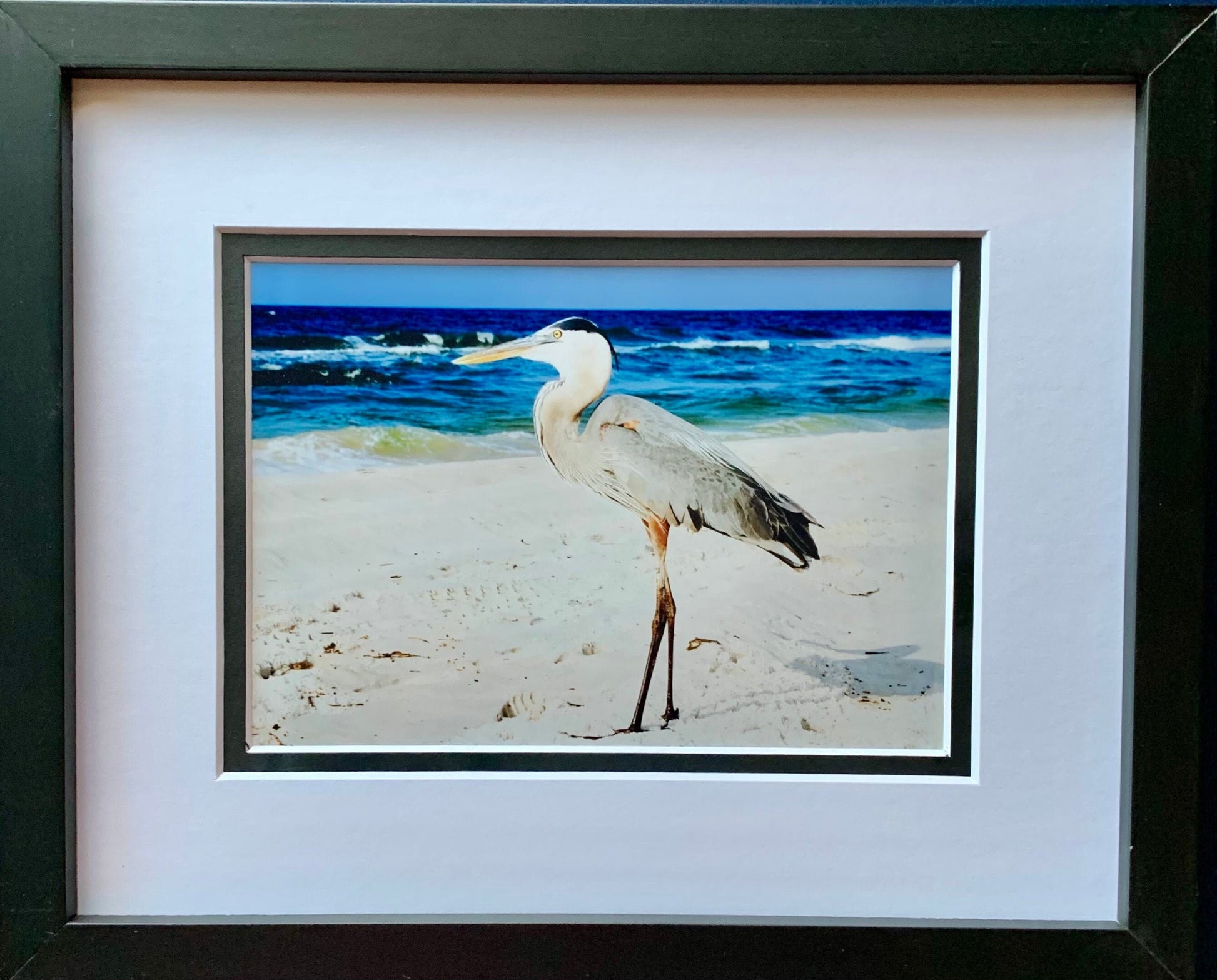 Shorebird Photography Ocean Shore Beach life Ocean lover Gift Original Soothing Seascape Decor Waves Beach decor Coastal art bird sand