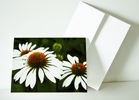 Blank Note Cards & Envelopes Original Photographs Many designs available Flower lovers personal gift unique photo card