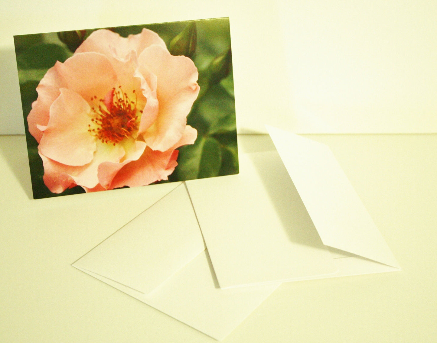 Blank Note Cards & Envelopes Original Photographs Many designs available Flower lovers personal gift unique photo card