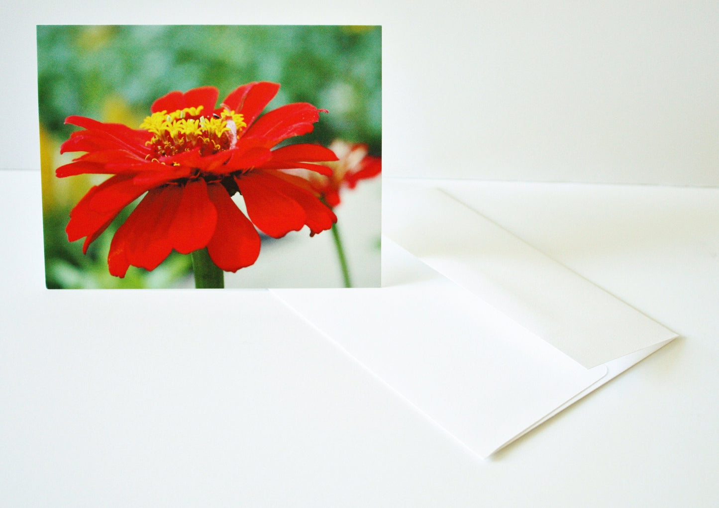 Blank Note Cards & Envelopes Original Photographs Many designs available Flower lovers personal gift unique photo card